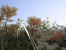 Old Printing House Holiday Apartment Cicero