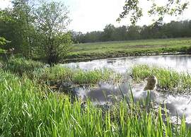 Safari Tent, Friesland