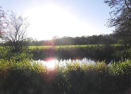 Safari Tent, Friesland