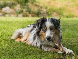 Zum Kuckuck Black Forest