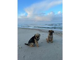 Hoppe 8 Modern Retreat