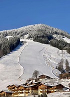 Apartment Alpenresort Saalbach E2