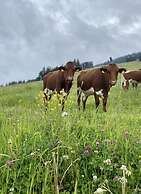 Apartment Alpenresort Saalbach E2