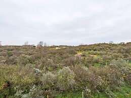 Renovated Hortensia Villa Next to the Dunes