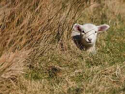 Schatz Comfortable Holiday Residence