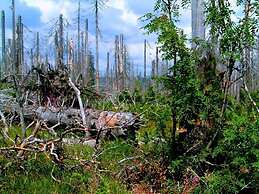 Nesterl Modern Retreat