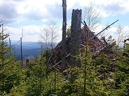 Nesterl Modern Retreat