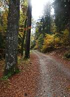 Nesterl Modern Retreat