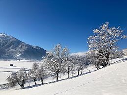 Holiday Apartment in Pinzgau