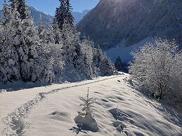 Holiday Apartment in Pinzgau