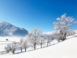 Holiday Apartment in Pinzgau