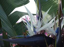 Lovely Apartment in Arona