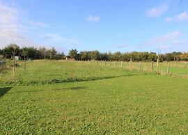Spacious Holiday Home With Garden