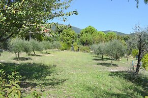 Beautiful Holiday Home With Swimming Pool