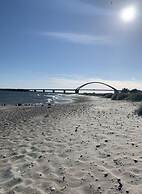 Island Nest Modern Retreat