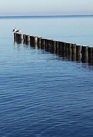 Wave Rider Comfortable Holiday Residence