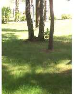 Wave Rider Comfortable Holiday Residence