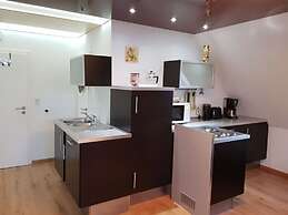 Swallow's Nest in the House by the Pond