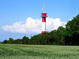 Swallow's Nest in the House by the Pond
