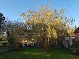 Swallow's Nest in the House by the Pond