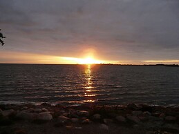 Swallow's Nest in the House by the Pond