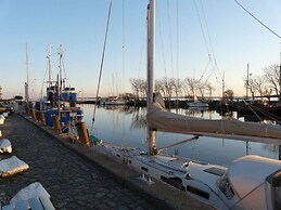 Swallow's Nest in the House by the Pond