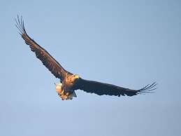 Message in a Bottle Modern Retreat