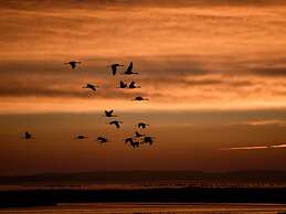 Message in a Bottle Modern Retreat