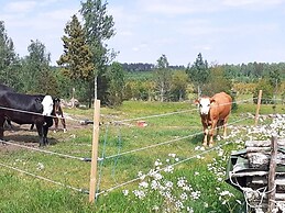 Holiday Home for 8 Guests in Hultsfred