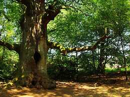 Fantastic Apartment in Reinhardshagen