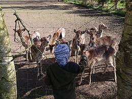 Coastal View of East Frisia