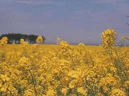 -heaf Half Between North and Ostsee U.schlei