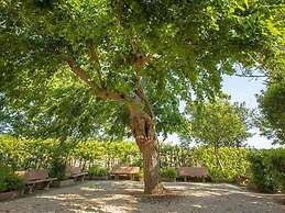 Spacious Apartment With Shared Pool