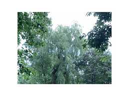 Amazing Holiday Home Near the Lake