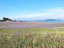 5 Star Holiday Home in Assens