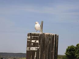 Ostseebrandung - Haus Seestern