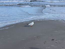 Ostseebrandung - Haus Seestern