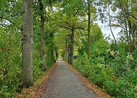 Detached Home Nijmegen Lake View Sauna