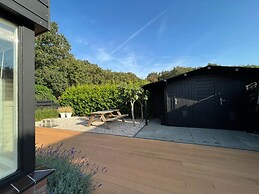 Modern Holiday Home in the Dunes