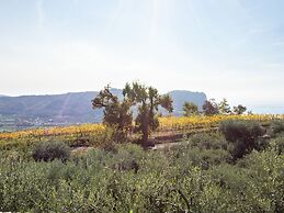 Spacious Holiday Home in Marciaga With Garden