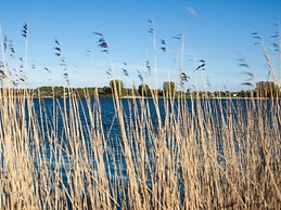 Liefde Voor de Schlei