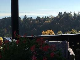 Apartment Deluxe Suite