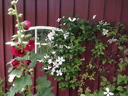 Holiday Home Old Kate