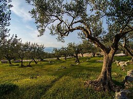 Villa Roza - One Bedroom With Swimming Pool