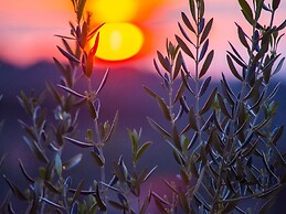 Villa Roza - One Bedroom With Swimming Pool