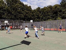 Nice Chalet With AC, on the Drents-friese Wold