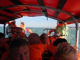 Seagull's Nest Modern Retreat