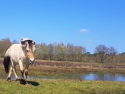 Holiday Home Near Baarle-nassau