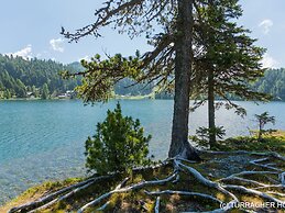 Natural Chalet With Whirlpool
