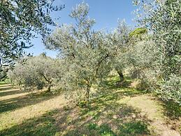 Modern Holiday Home in Marciaga With Garden